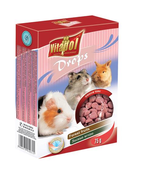 MENU DROPSY GRYZOŃ OWOCE LASU 75g