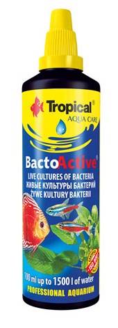 BACTO ACTIVE 100ml