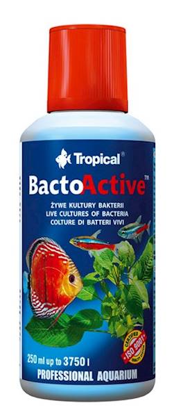 BACTO ACTIVE 250ml