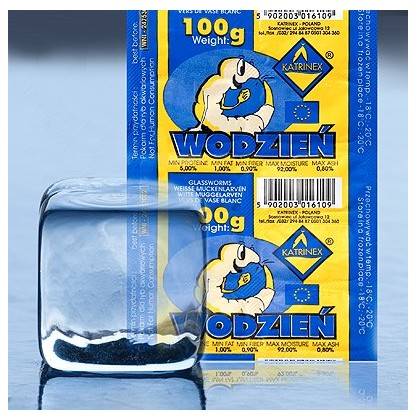 Mrożonka- WODZIEŃ 100g