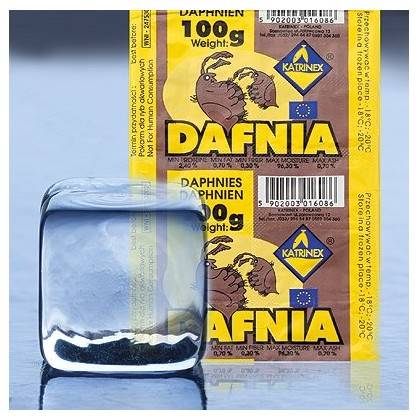 Mrożonka- DAPHNIA BLIST 100g