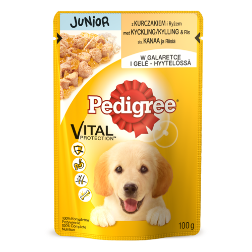 PEDIGREE JUNIOR 100g - KURCZAK ryż w galaretce *