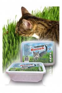 TRAWA DLA KOTA 150g CERTECH