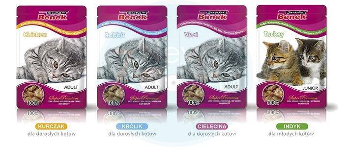 C.SASZETKA 100g JUNIOR KOT INDYK W SOSIE