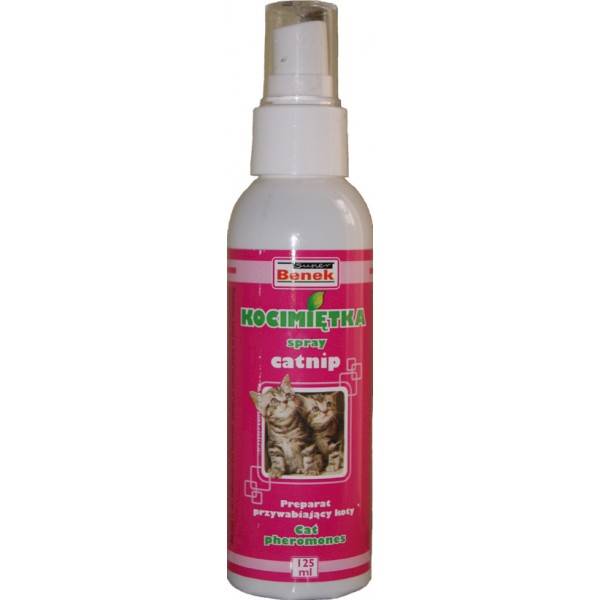 KOCIMIĘTKA 125ml CERTECH