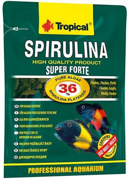 SPIRULINA FORTE 36% 12g saszetka