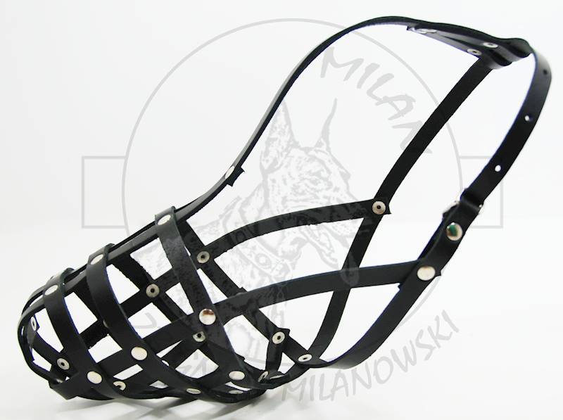 KAGANIEC SK MILAN 3 doberman