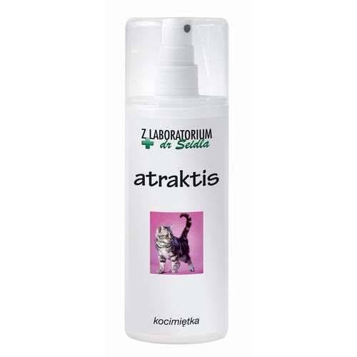 ATRAKTIS 100ml-kocia miętka Dr.Seidla