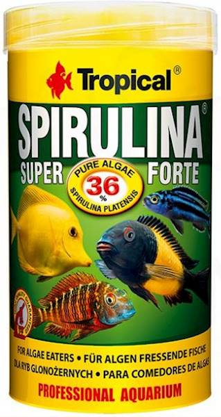 SPIRULINA FORTE 36% 250ml/50g