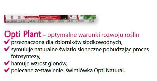 D.ŚWIETLÓWKA OPTI PLANT 36W 120cm