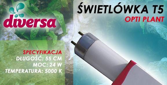D.ŚWIETLÓWKA OPTI PLANT T5 24W 55cm