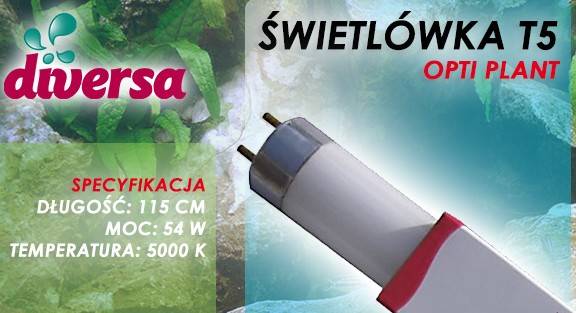 D.ŚWIETLÓWKA OPTI NATURAL T5 54W 115cm