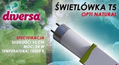D.ŚWIETLÓWKA OPTI NATURAL T5 24W 55cm