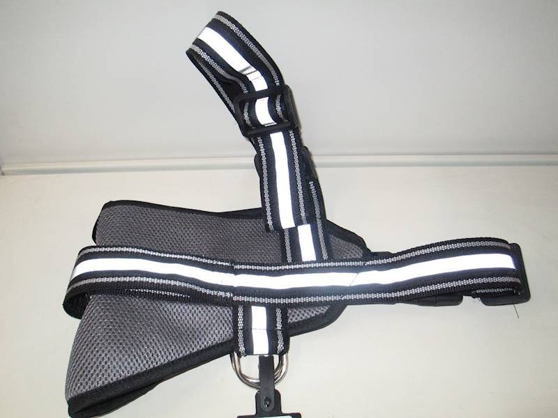 DINO UPRZĄŻ ODBLASK NR 6 85-120cm