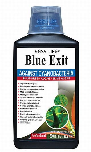 EASY LIFE - BLUE EXIT 500ml