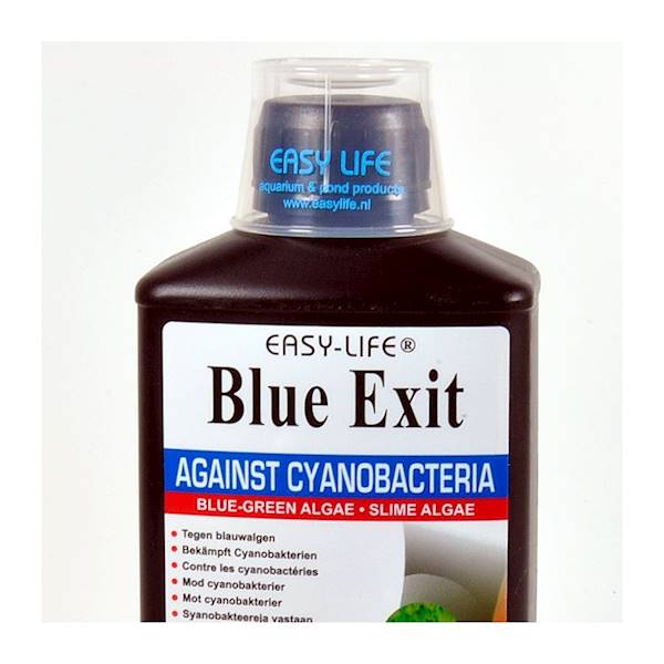 EASY LIFE - BLUE EXIT 250ml