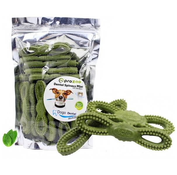 P.DENTAL SPINACZ MINT 500g