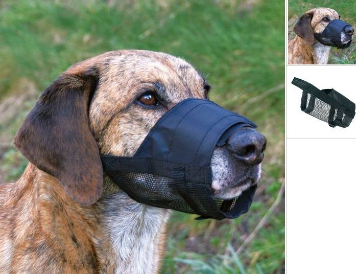 KAGANIEC TX NYLON Z SIATKĄ L - XL (Dog niemiecki)