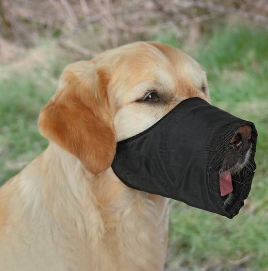 KAGANIEC NYLON Tx L (Doberman)
