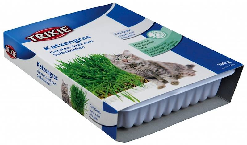 TRAWA DLA KOTA TX (100g) pudełko
