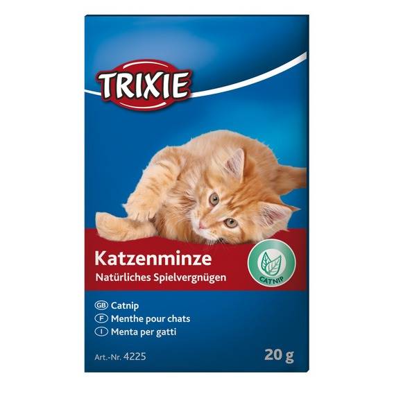 KOCIA MIĘTA 20g