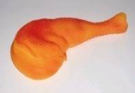 ZB.YARRO UDKO WINYL 19cm