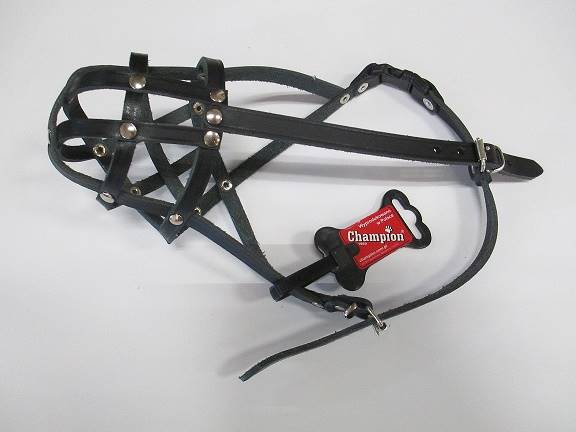 CHAMPION KAGANIEC SK. 4 - SZPIC