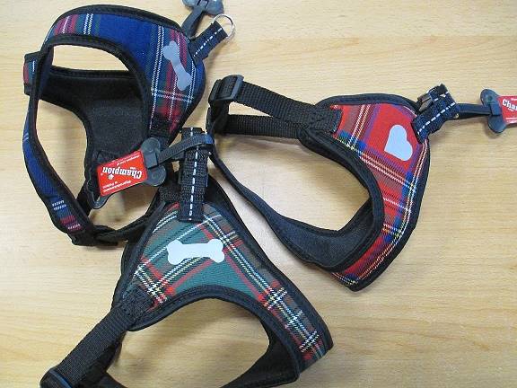 CHAMPION SZELKA 40 KOMFORT