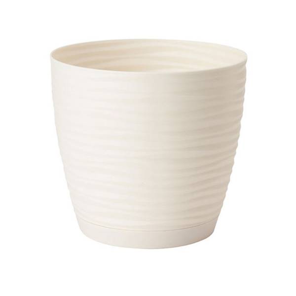 DONICA SAHARA PETIT OKR. Z PODSTAWKĄ 11 KREM