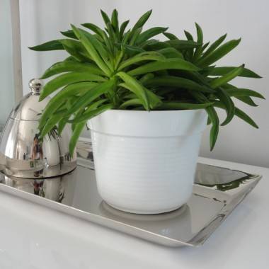 DONICZKA PASKI 25 CM TERAKOTA