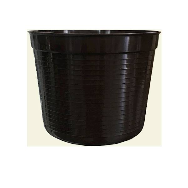 DONICZKA PASKI 19 CM BRĄZ