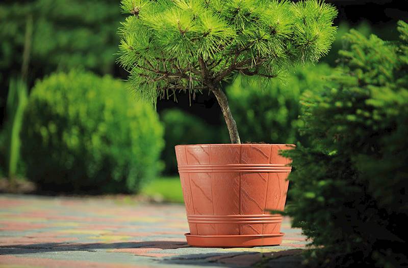 OSŁONKA DREWNOPODOBNA 3 TERRAKOTA