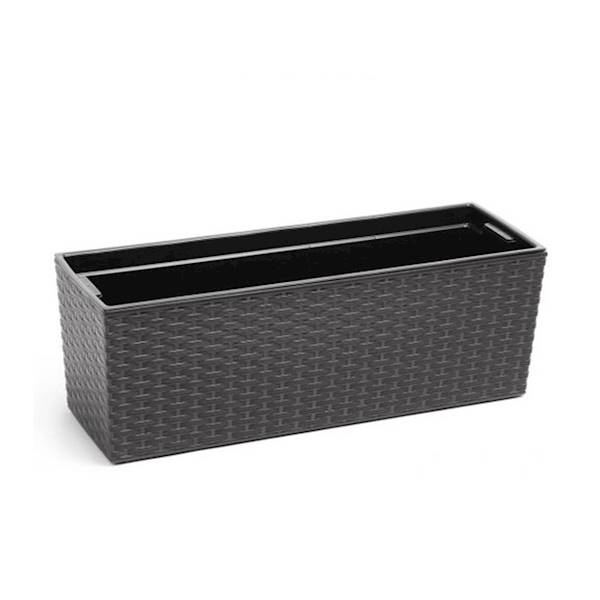 KWIETNIK BEGONIA 190x560 RATTAN