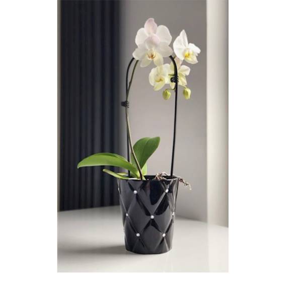 02.693.14 DONICA GLAMOUR BLACK