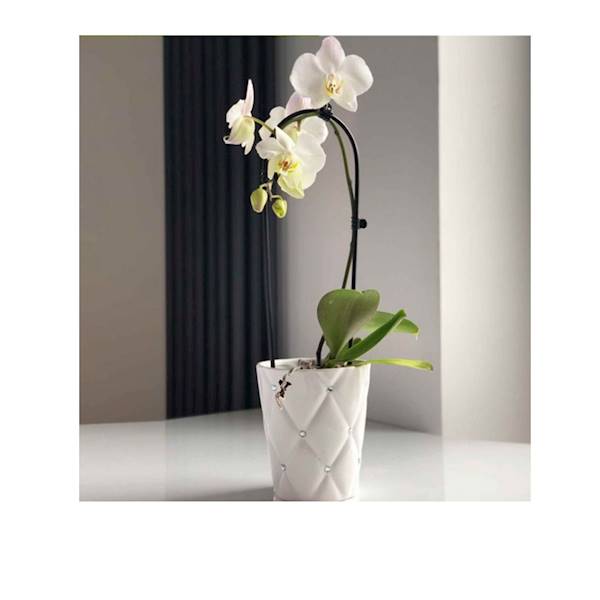 02.692.14 DONICA GLAMOUR WHITE