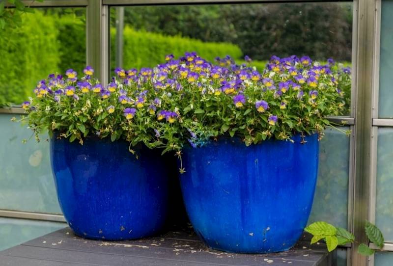 28.031.32 DONICA Z PODST. KOBALT