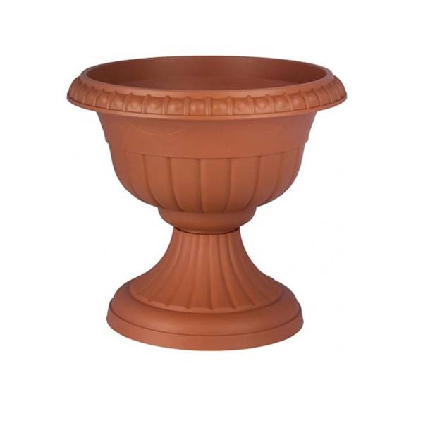 Gazon Roma IV