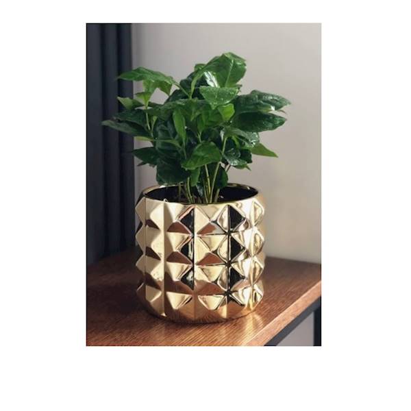 05.171.15 CYLINDER GOLD