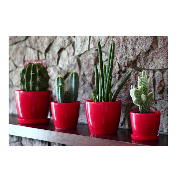 DONICA MAGNOLIA 120 CZERWONY