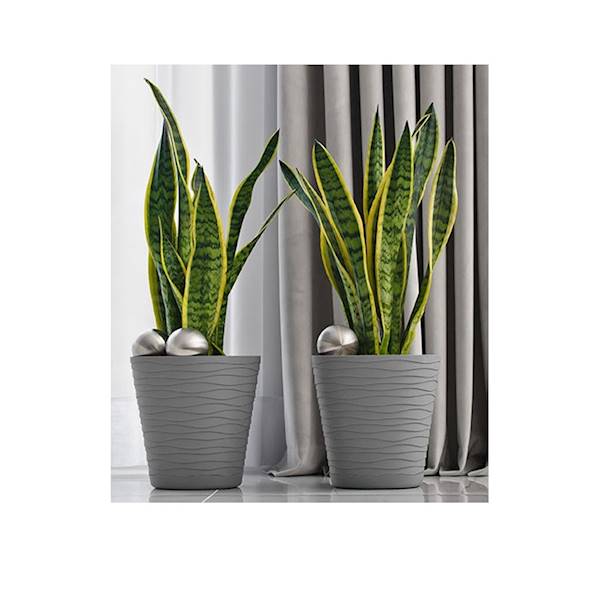 DONICZKA TEDI NR 17 POPIEL