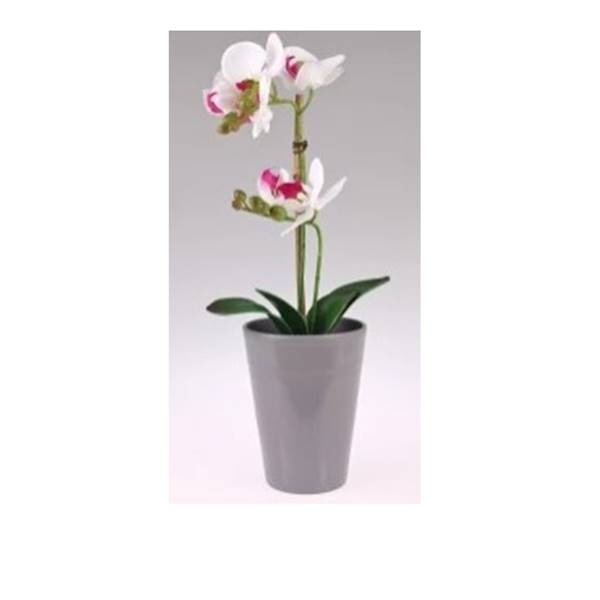 OSŁONKA STORCZYK ST 9066 13CM JASNY GRAFIT