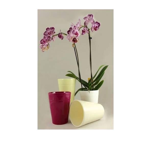 OSŁONKA STORCZYK ST 9066 13CM BORDO