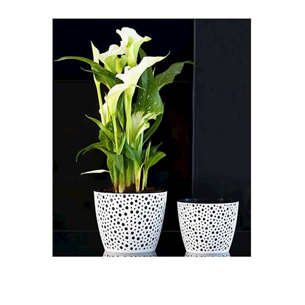 DONICZKA VERO 21 czarny