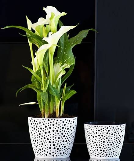 DONICZKA VERO 17 czarny