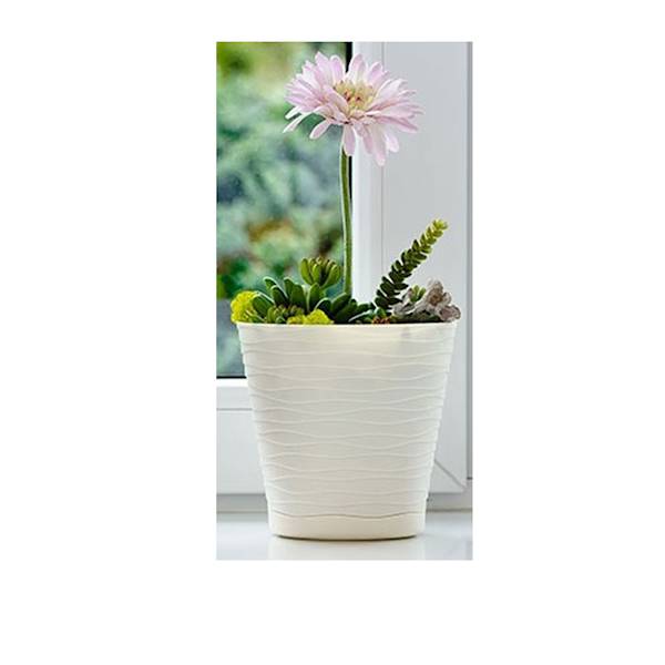 DONICZKA TEDI NR 13 EKRI