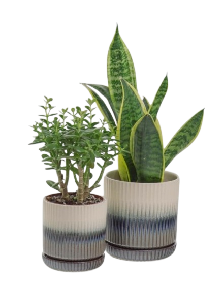 07.118.16 DONICA Z PODST.