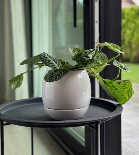 05.404.17 DONICA Z PODST.