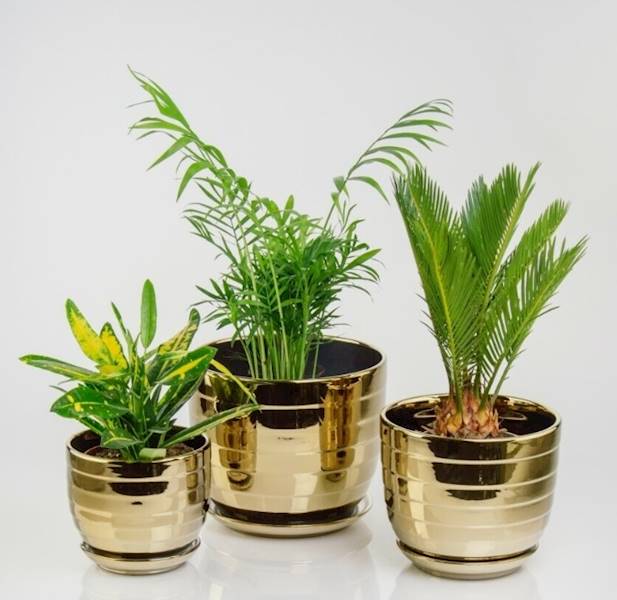 43.046.21 DONICA Z PODST.- GOLD