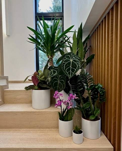 31.066.13 CYLINDER WHITE