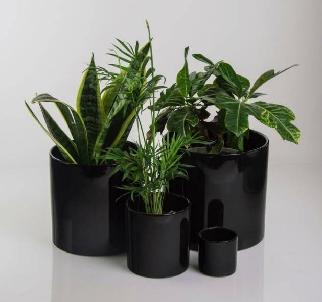 31.067.26 CYLINDER BLACK